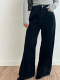 B161 Velvet Wide Pants