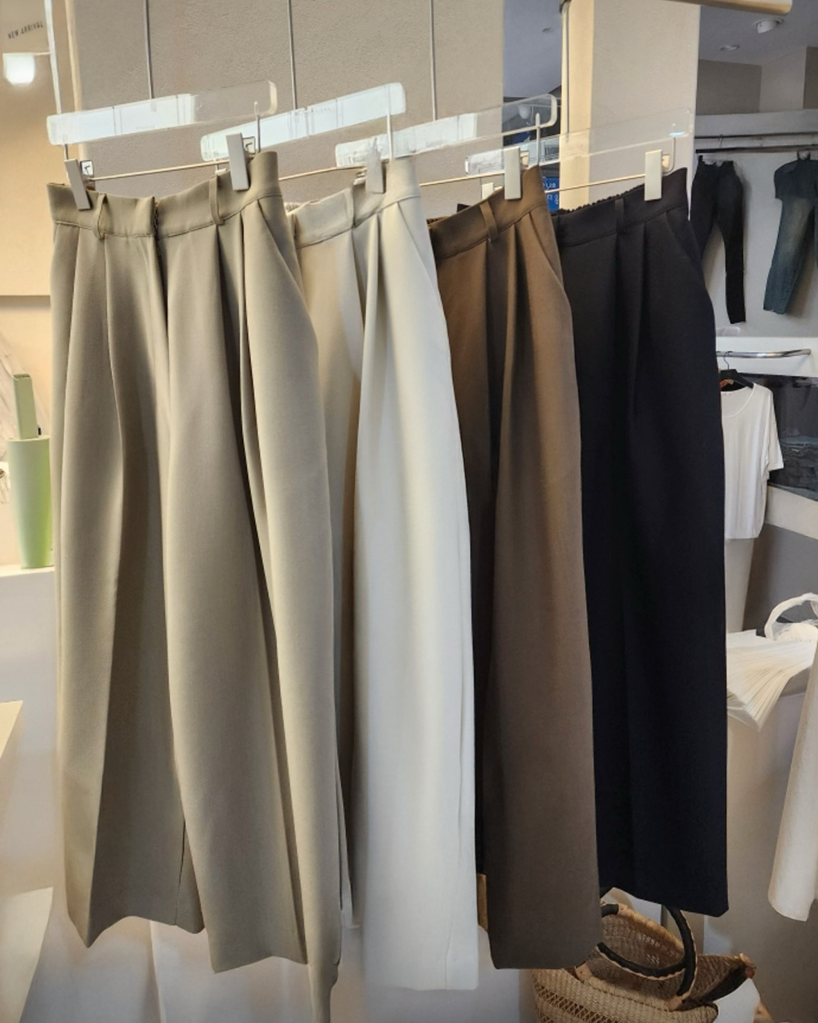 B151 Versa Pleated Pants (Display)